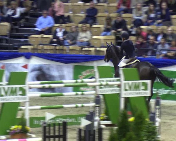 Reitturnier Neumünster 2019