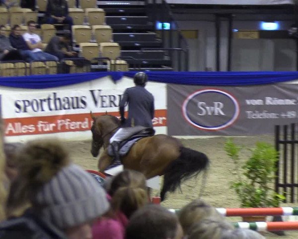 Reitturnier Neumünster 2019