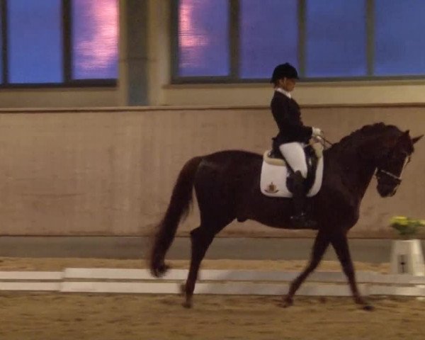 Reitturnier Kreuth/Opf. 2019