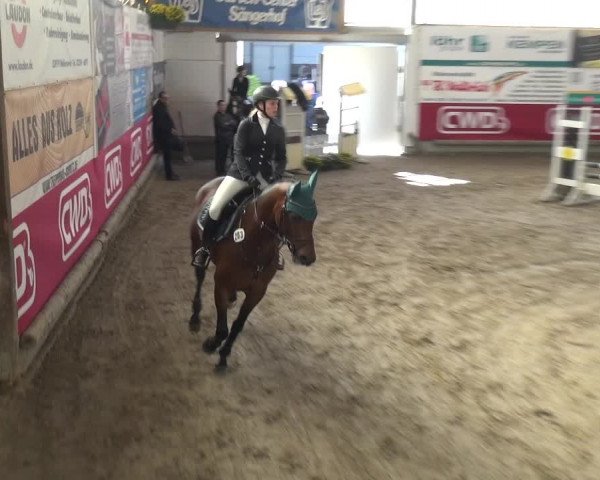 Reitturnier Wachtberg-Adendorf 2019