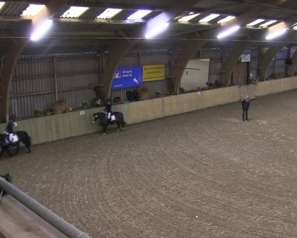 Reitturnier Sörup 2019