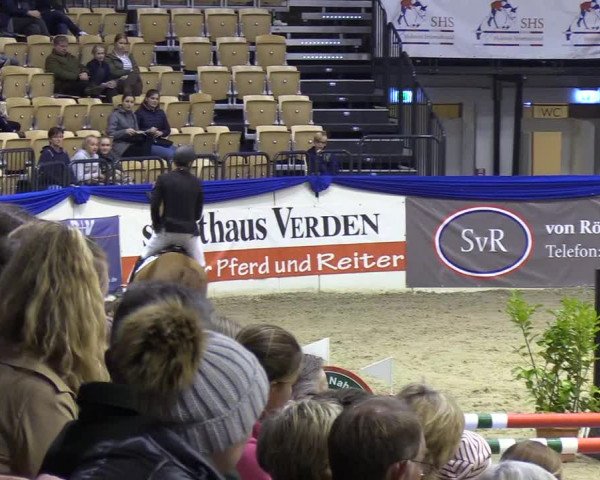 Reitturnier Neumünster 2019