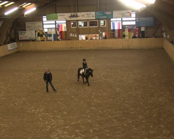 Reitturnier Sörup 2019