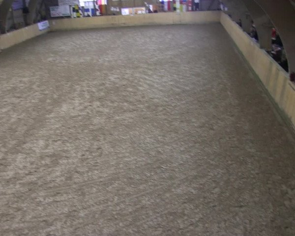 Reitturnier Sörup 2019