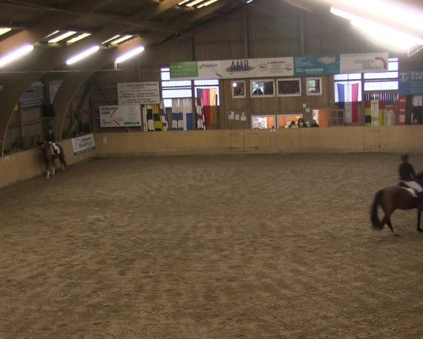 Reitturnier Sörup 2019