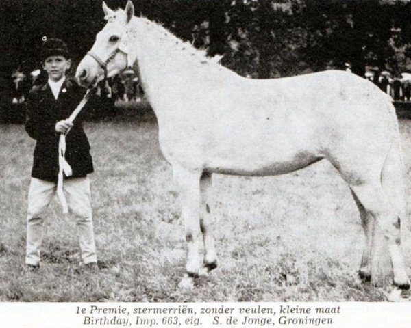 broodmare Birthday (New Forest Pony, 1961, from Forest Horse)