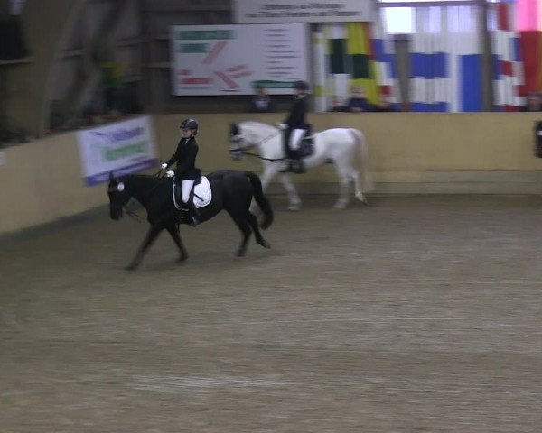 Reitturnier Sörup 2019