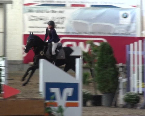 Reitturnier Wachtberg-Adendorf 2019