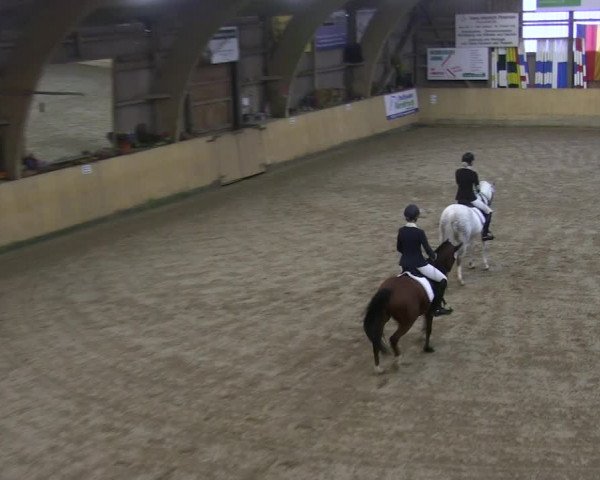 Reitturnier Sörup 2019