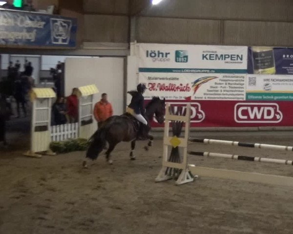 Reitturnier Wachtberg-Adendorf 2019
