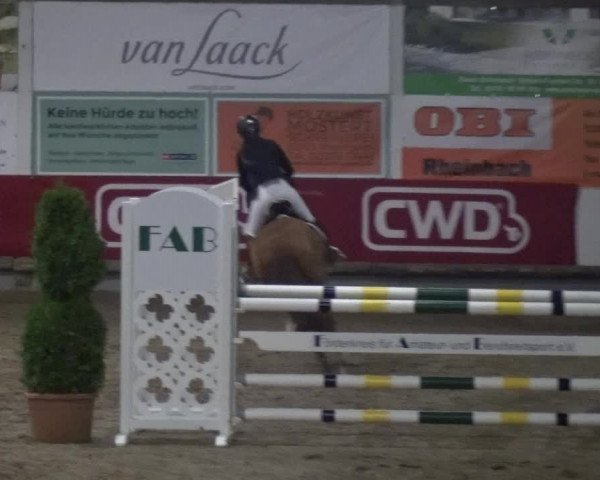 Reitturnier Wachtberg-Adendorf 2019