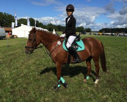 Springpferd Charlotte 134 (Pony ohne Rassebezeichnung, 2000, von Unbekannt Pony)