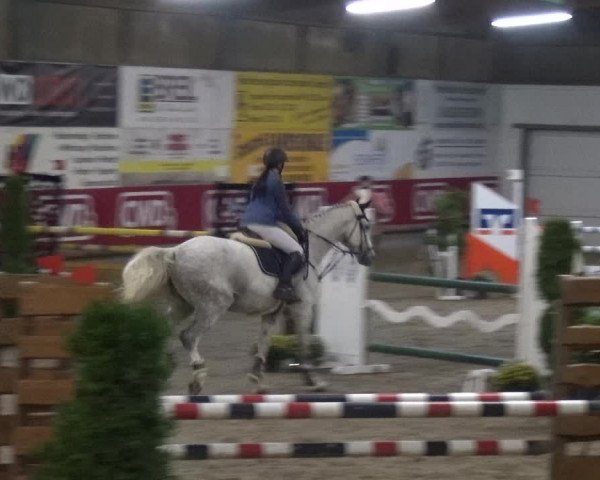 Reitturnier Wachtberg-Adendorf 2019