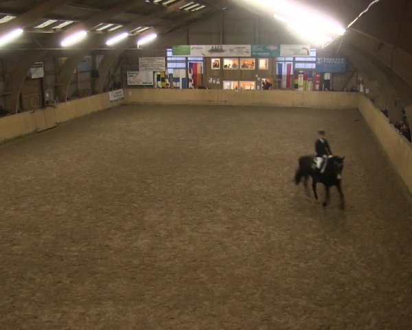 Reitturnier Sörup 2019