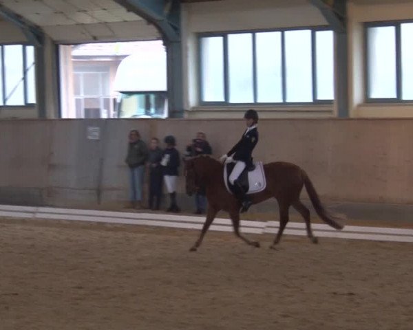 Reitturnier Kreuth/Opf. 2019