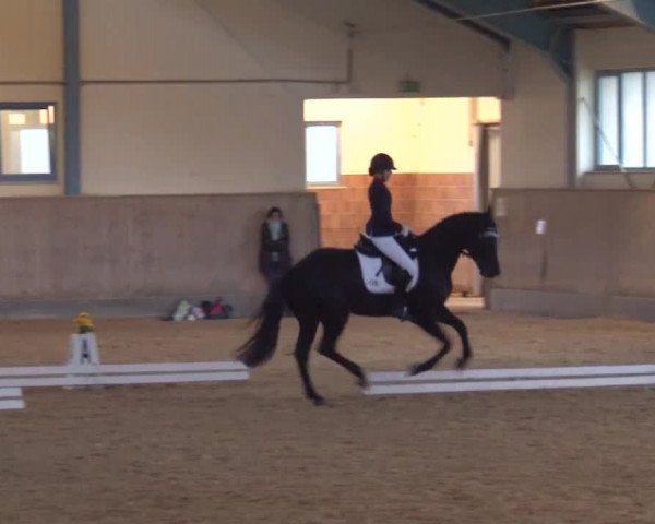 Reitturnier Kreuth/Opf. 2019