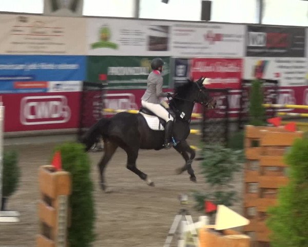 Reitturnier Wachtberg-Adendorf 2019