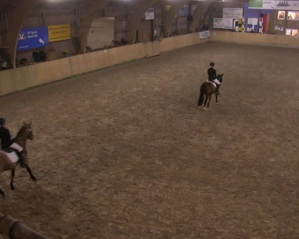 Reitturnier Sörup 2019