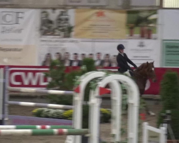 Reitturnier Wachtberg-Adendorf 2019