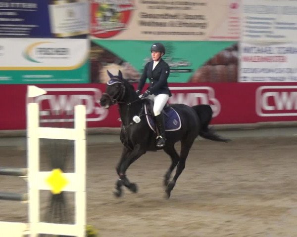 Reitturnier Wachtberg-Adendorf 2019