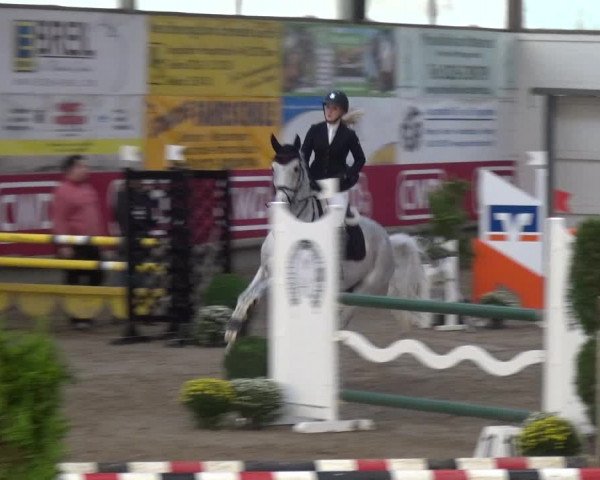 Reitturnier Wachtberg-Adendorf 2019