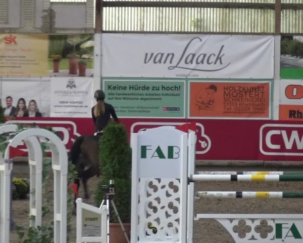 Reitturnier Wachtberg-Adendorf 2019
