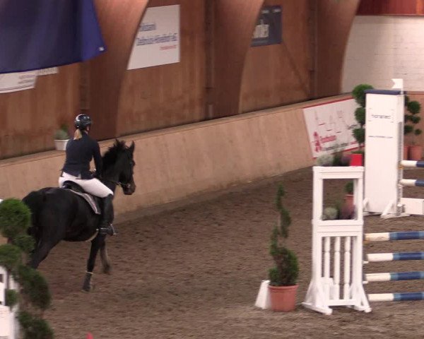 Reitturnier Hövelhof 2019
