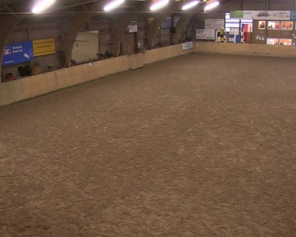 Reitturnier Sörup 2019