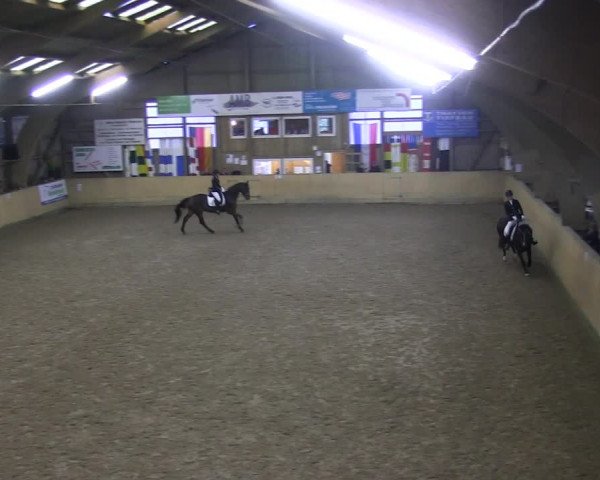 Reitturnier Sörup 2019