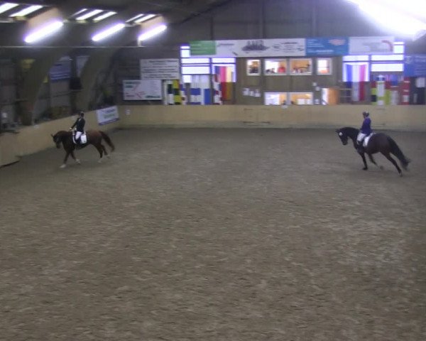Reitturnier Sörup 2019