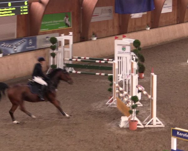 Reitturnier Hövelhof 2019