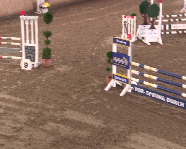 Reitturnier Hövelhof 2019