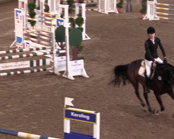 Reitturnier Hövelhof 2019