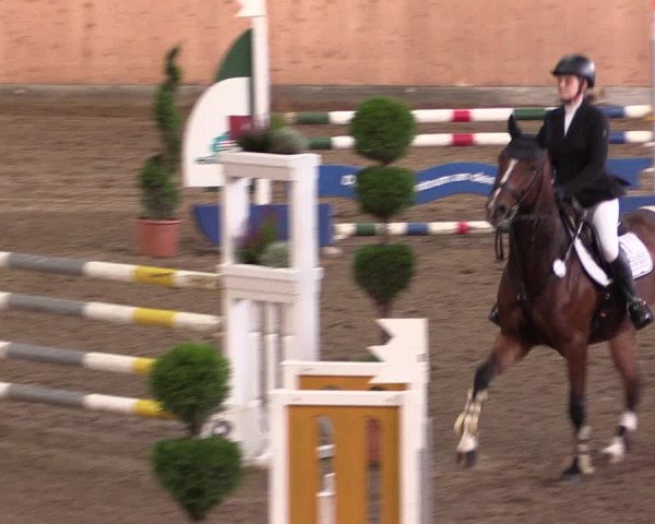 Reitturnier Hövelhof 2019