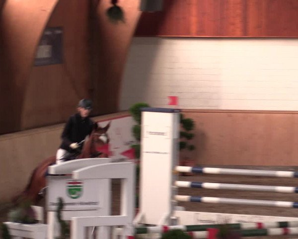 Reitturnier Hövelhof 2019