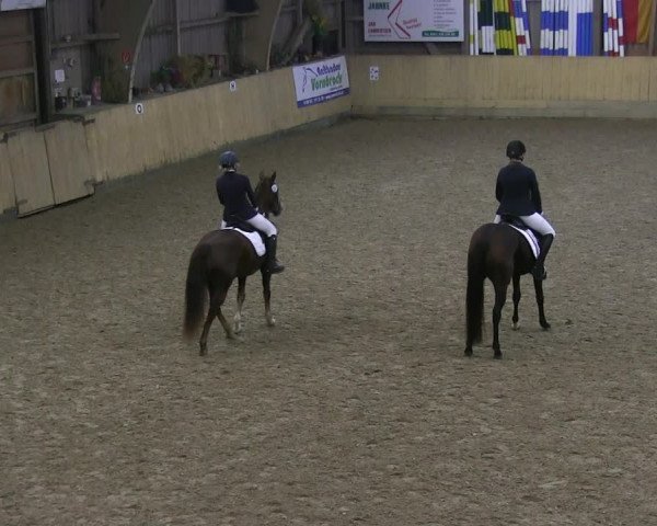 Reitturnier Sörup 2019