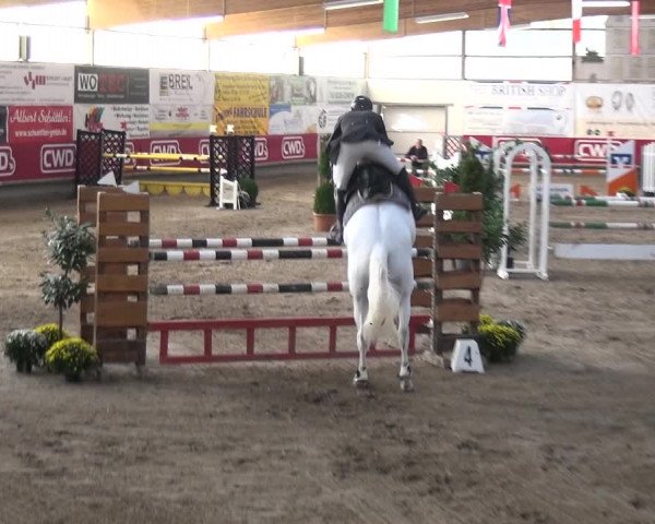 Reitturnier Wachtberg-Adendorf 2019