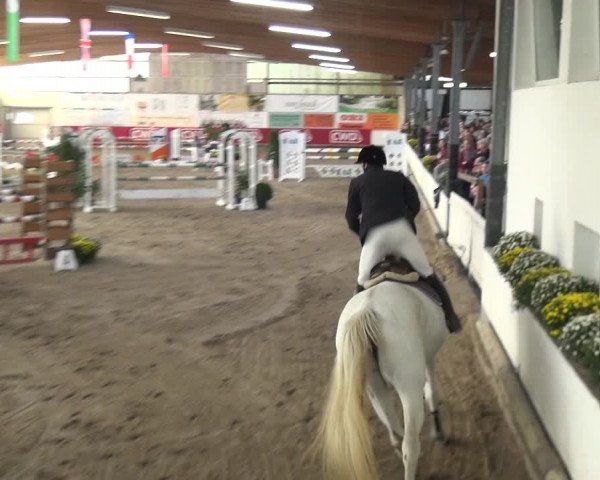 Reitturnier Wachtberg-Adendorf 2019