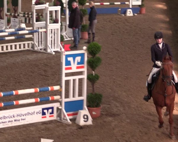 Reitturnier Hövelhof 2019