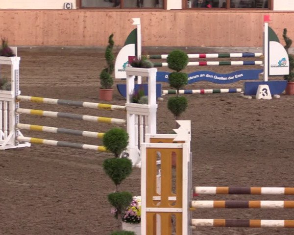 Reitturnier Hövelhof 2019