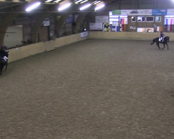 Reitturnier Sörup 2019