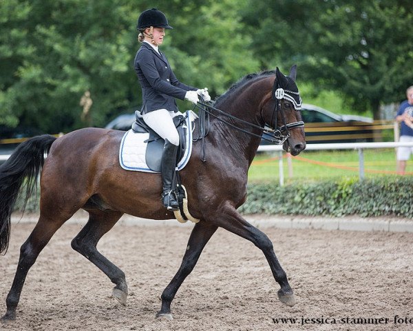 dressage horse Sidney Green (Rhinelander, 2007, from Sir Bedo)