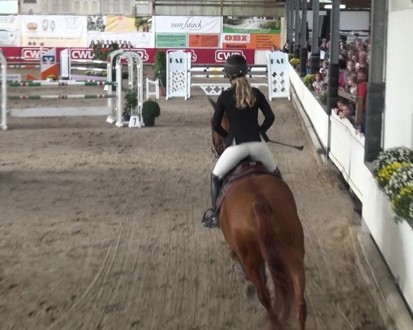 Reitturnier Wachtberg-Adendorf 2019
