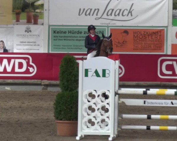 Reitturnier Wachtberg-Adendorf 2019