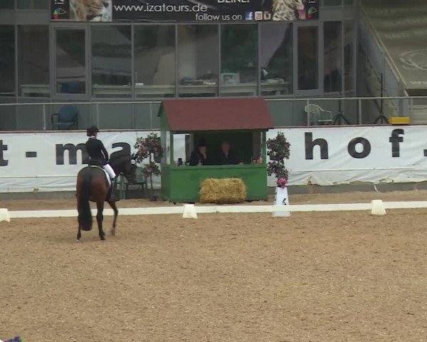 Reitturnier Kreuth/Opf. 2019