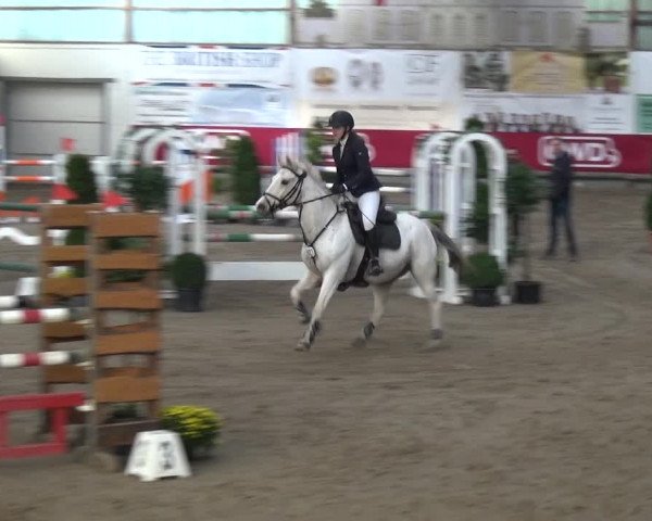 Reitturnier Wachtberg-Adendorf 2019
