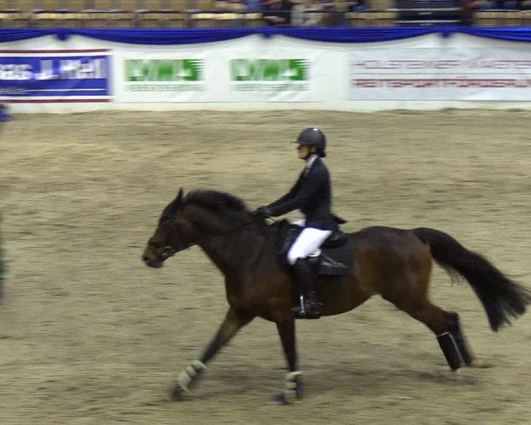 Reitturnier Neumünster 2019