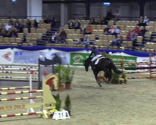 Reitturnier Neumünster 2019