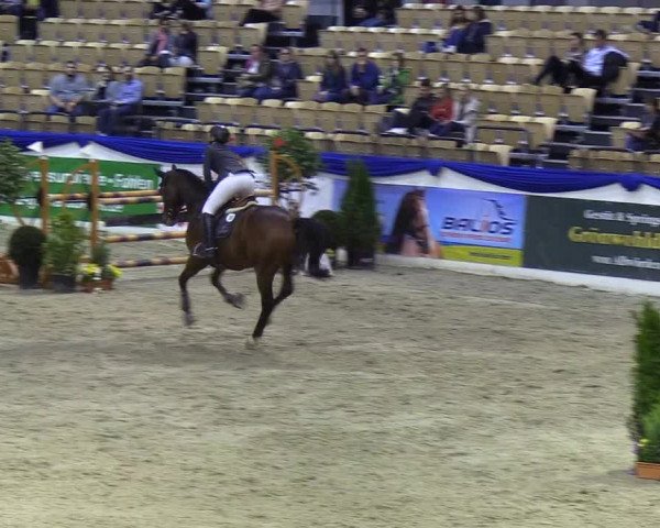 Reitturnier Neumünster 2019