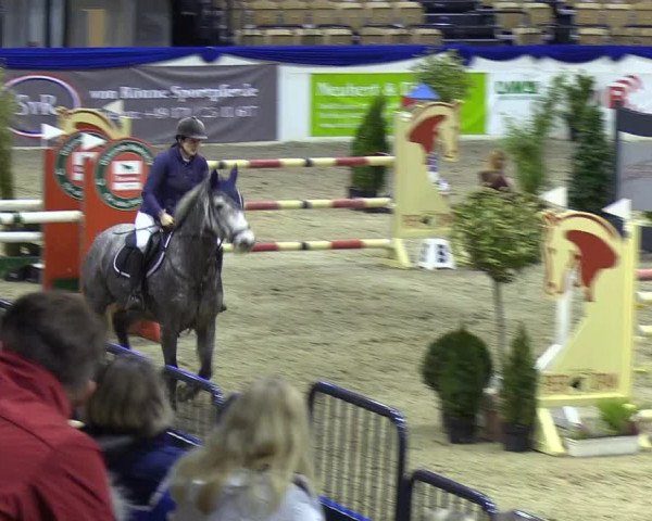 Reitturnier Neumünster 2019